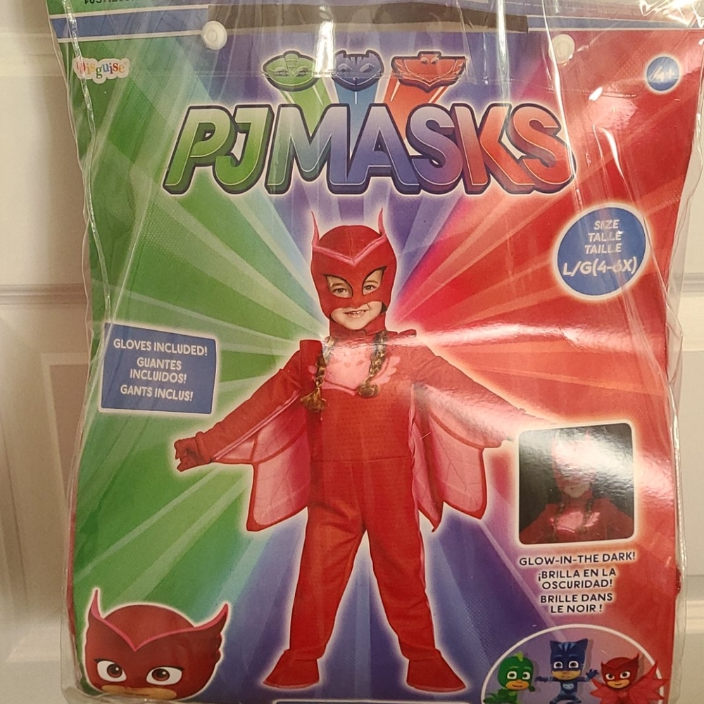 PJ Masks Owlette Costume 4-6x